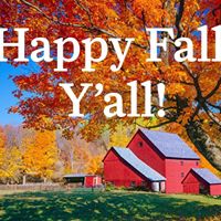 Connie Lindell's profile image