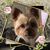 Paulette Webb's profile image