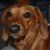 Joyce Anderson's profile image