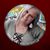 Shawna Pickard Virva's profile image