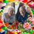 Lois E. Settles's profile image