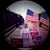 Brandy Lynn Joles's profile image