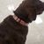 Dawn Staeger's profile image