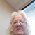 Angela Cantrell's profile image