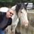 John Kohler's profile image