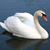 Carol Van Der Swann's profile image