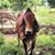 CarlosAnd Denise Bramhall's profile image