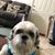 Analisa Coffrin's profile image