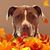 Yvonne Costner Crowder's profile image
