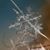 Tess Khofri's profile image