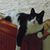 Carole Fenstermacher's profile image