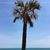 Connie Snook's profile image