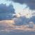 Alysa Wilkosz-Frith's profile image