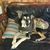 Christina Mullein's profile image