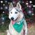 Brenda Kehoe Rodriguez's profile image