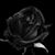 Teresa Jackson's profile image