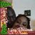 Tara Robert Mozell's profile image