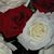 Beverly Herrera's profile image