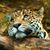 Debora Funnell's profile image