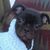 Sandra Colburn's profile image