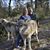 Karen Powell's profile image