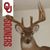 Timothy Charles Kersh's profile image