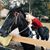 Amanda Nugent's profile image