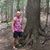 John Lavelle's profile image