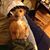 Jonah Tzur's profile image