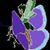 Cindi Thiele's profile image