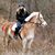 Dottie Sanford's profile image