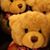 Pam Scott's profile image