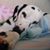 Dena DeWeese's profile image