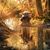 Rex Bennett's profile image
