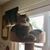 Debbie Zabelski's profile image