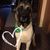 Anna Schrodt Phillips's profile image