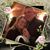 Susan Kolcun Gallagher's profile image