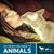 Cynthia Diane Bromund's profile image