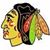 Tim Muhr's profile image