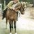 Donna W Beazley's profile image