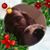Jenelle Sloan's profile image