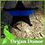 Jeanette Claseman Potter's profile image