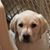 Michelle Evers's profile image