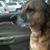 Kelly Purves Vina's profile image