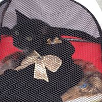 Donna Drury's profile image