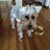 Deborah Riggs Serafano's profile image