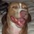 Robert W. Williams's profile image