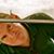 Bert Tunnell's profile image