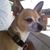 Susie Milward's profile image