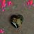 Dawn Swick Parenti's profile image
